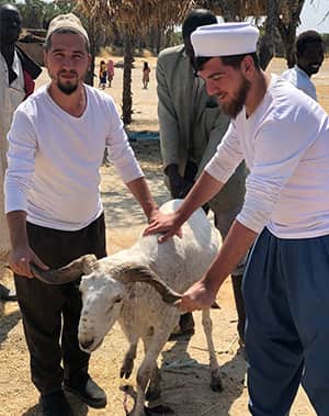 Adak Kurbanı